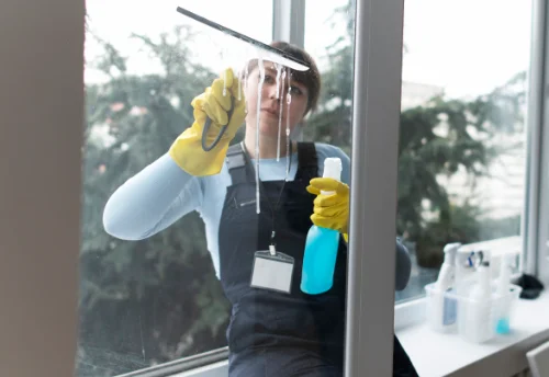 Nettoyage de vitres intérieures et extérieures à Saint-Médard-en-Forez